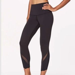 Full On Luxtreme Wunder Under Scallop